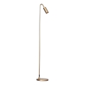 ByRydens - Stojacia lampa CURVE 1xGU10/7W/230V zlatá