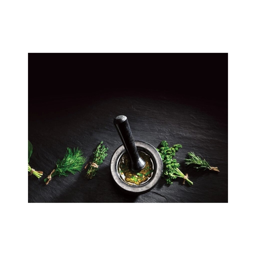 Cole&Mason - Granitový mažiar s tĺčikom GRANITE pr. 14 cm žula/čierna