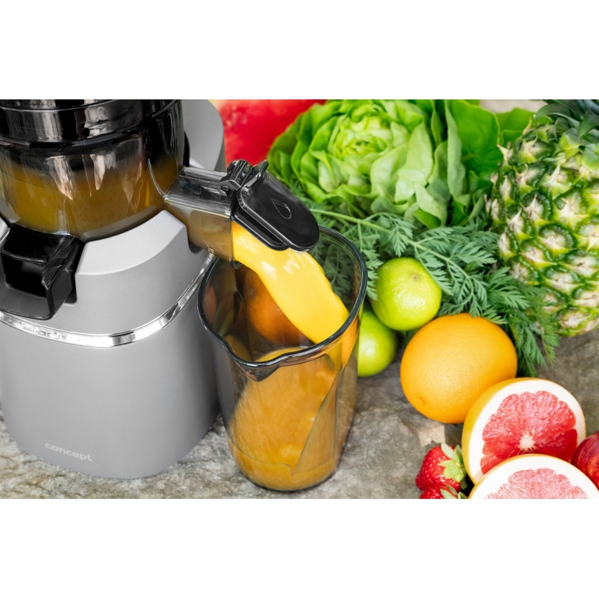 Concept LO7120 - Šnekový odšťavňovač JUICY 250W/230V šedá