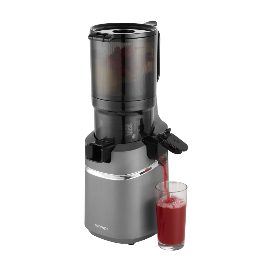 Concept LO7120 - Šnekový odšťavňovač JUICY 250W/230V šedá