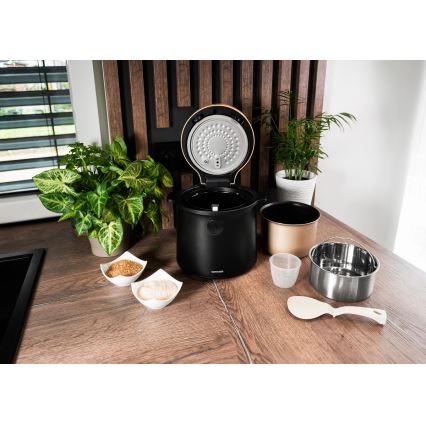Concept RE4040 - Digitálny ryžovar 2v1 450 W/230 V 2 l čierny/drevený dekor