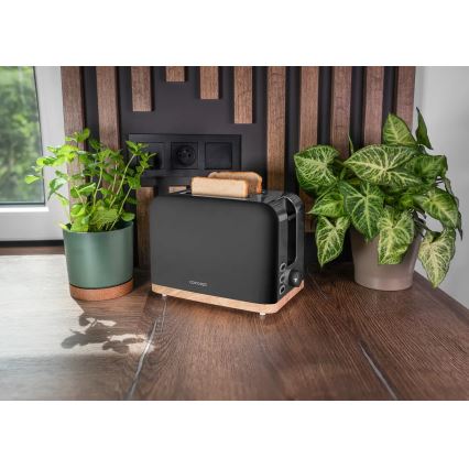 Concept TE2016 - Hriankovač s dvoma štrbinami a roštom na ohrievanie 930W/230V čierna