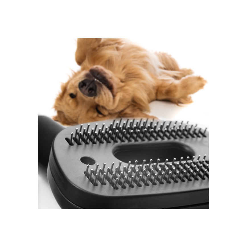 Concept VP5240N - Bezsáčkový vysávač 4A RADICAL PET EXPERT 2,5 l 800W/230V bronz