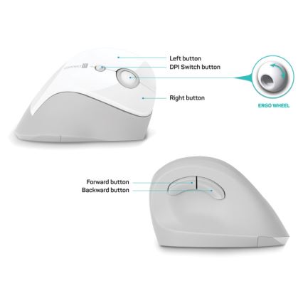 CONNECT IT CMO-2700-WH - Ergonomická bezdrôtová myš 800/1200/1600 DPI 1xAA biela