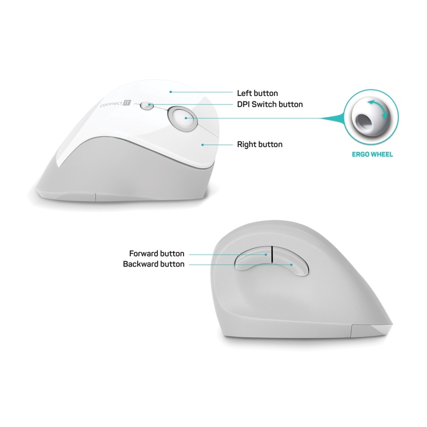 CONNECT IT CMO-2700-WH - Ergonomická bezdrôtová myš 800/1200/1600 DPI 1xAA biela