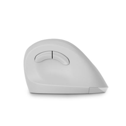CONNECT IT CMO-2700-WH - Ergonomická bezdrôtová myš 800/1200/1600 DPI 1xAA biela