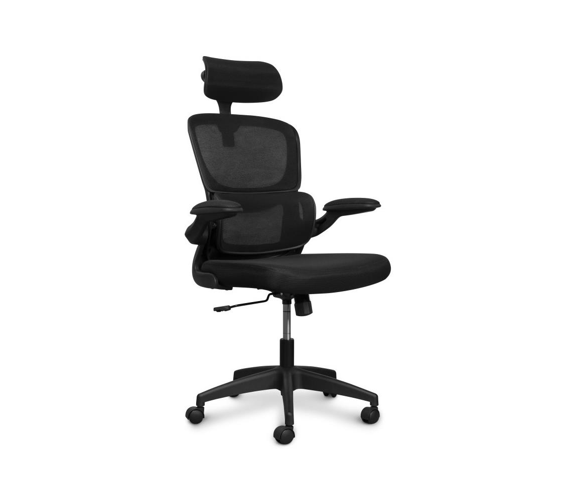 CONNECT IT COC-2500-BK - Kancelárska stolička ForHealth DeltaPro čierna COC-2500-BK