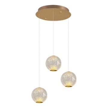 CREMONA LED Závesné svietidlo 3xLED/5W/230V 3000K Zlato