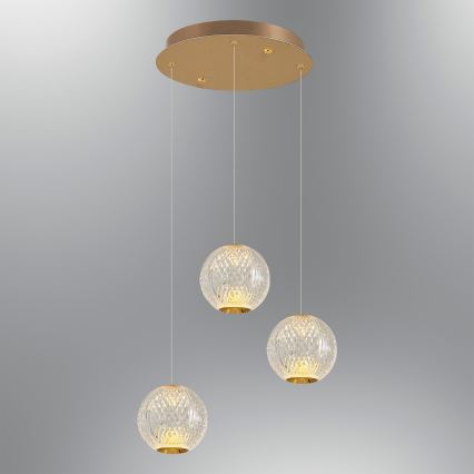 CREMONA LED Závesné svietidlo 3xLED/5W/230V 3000K Zlato