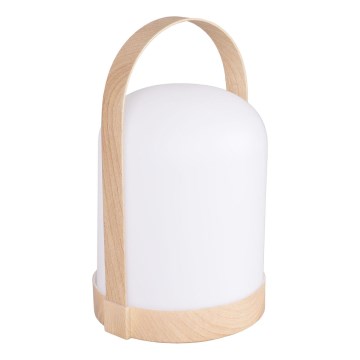 Dekoratívna stolná LED lampa RGBW MINORKA LED/0,3W/4,5V 3xAA