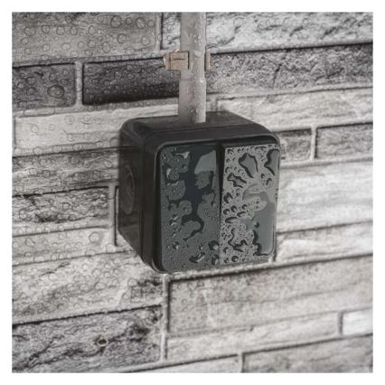 Domový dvojtlačidlový striedavý vypínač č. 6+6 IP55 antracit