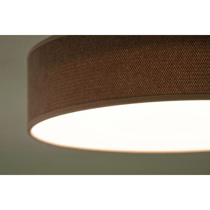 Duolla - LED Stropné svietidlo CORTINA LED/26W/230V pr. 30 cm 4000K ružová