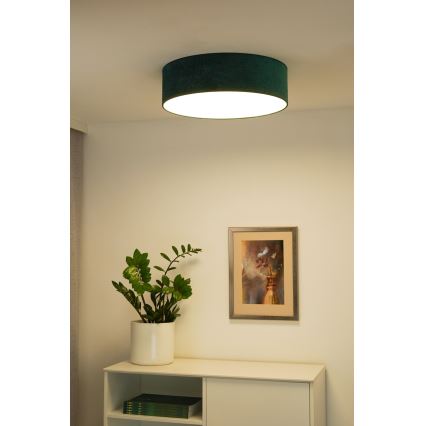 Duolla - LED Stropné svietidlo CORTINA LED/26W/230V pr. 30 cm 4000K zelená