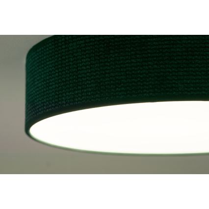 Duolla - LED Stropné svietidlo CORTINA LED/26W/230V pr. 30 cm 4000K zelená