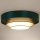 Duolla - LED Stropné svietidlo LUNETA LED/26W/230V pr. 60 cm 4000K zelená/zlatá/biela