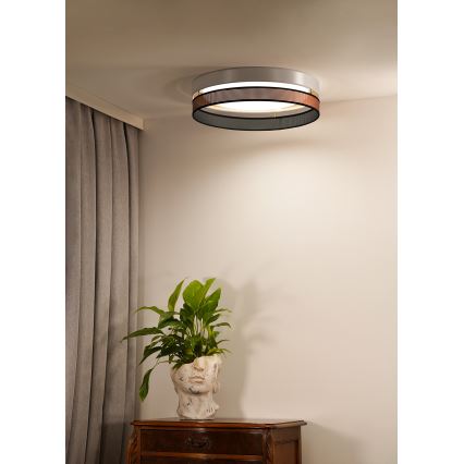 Duolla - LED Stropné svietidlo ROLLER DUO SHINY LED/24W/230V pr. 45 cm biela/medená