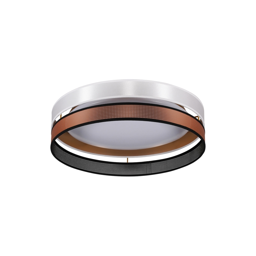 Duolla - LED Stropné svietidlo ROLLER DUO SHINY LED/24W/230V pr. 45 cm biela/medená