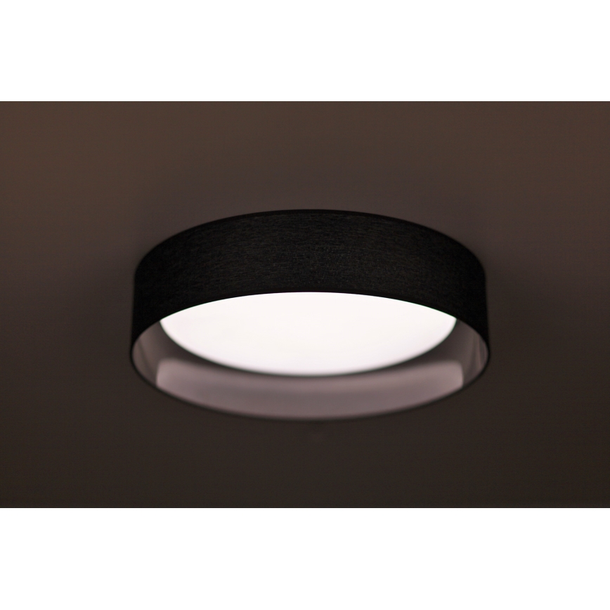 Duolla - LED Stropné svietidlo ROLLER LED/24W/230V pr. 45 cm antracit