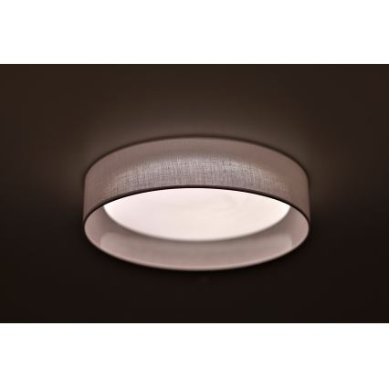 Duolla - LED Stropné svietidlo ROLLER LED/24W/230V pr. 45 cm biela