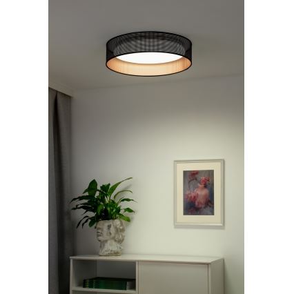 Duolla - LED Stropné svietidlo ROLLER LED/24W/230V pr. 45 cm čierna/medená