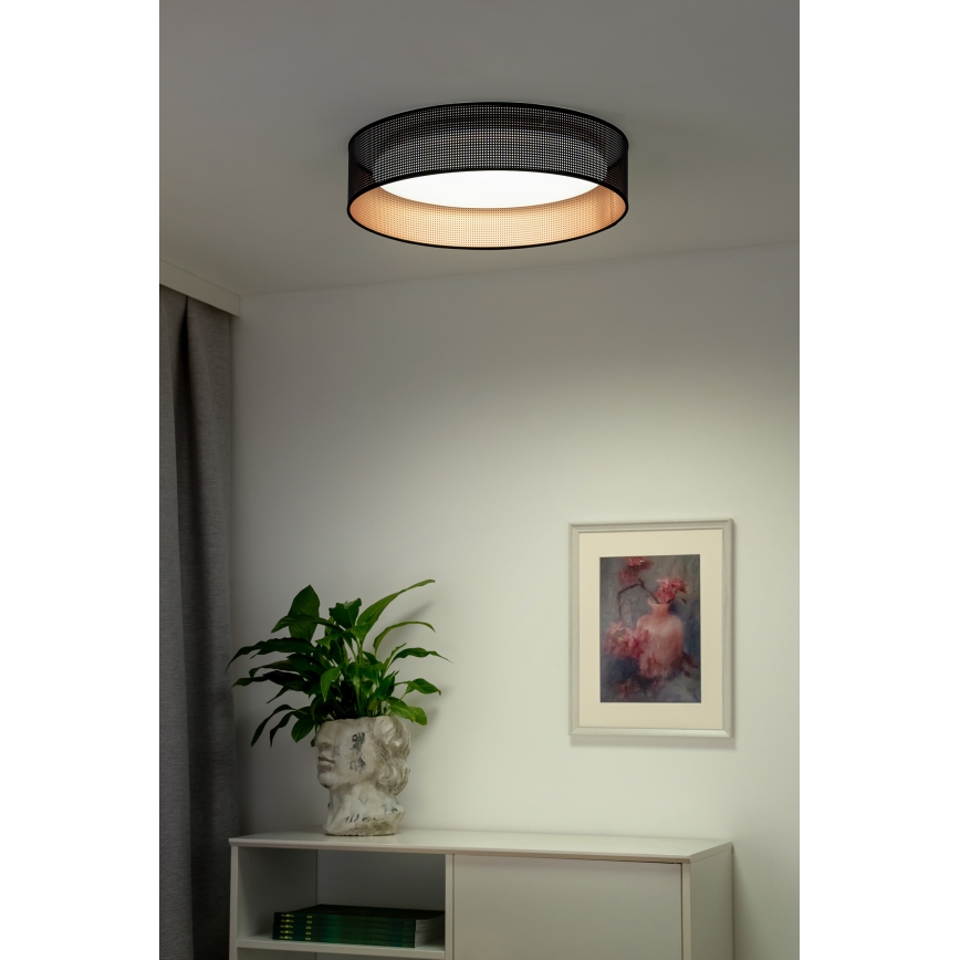 Duolla - LED Stropné svietidlo ROLLER LED/24W/230V pr. 45 cm čierna/medená