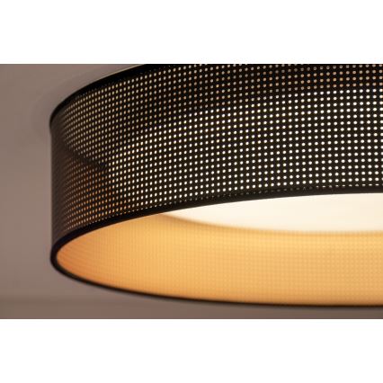 Duolla - LED Stropné svietidlo ROLLER LED/24W/230V pr. 45 cm čierna/medená