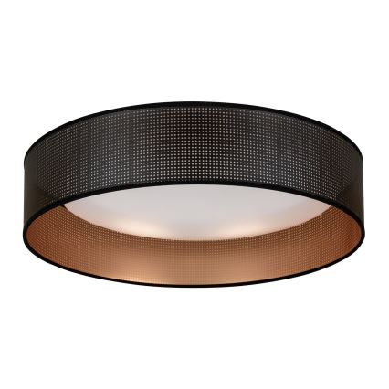 Duolla - LED Stropné svietidlo ROLLER LED/24W/230V pr. 45 cm čierna/medená