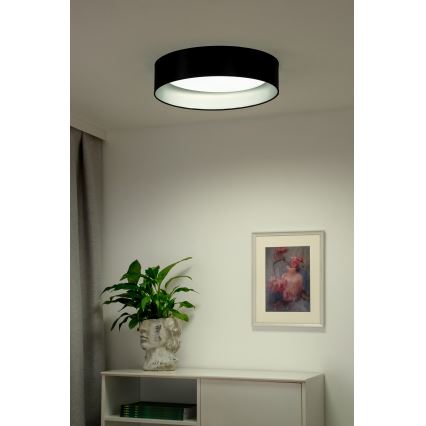 Duolla - LED Stropné svietidlo ROLLER LED/24W/230V pr. 45 cm čierna/strieborná
