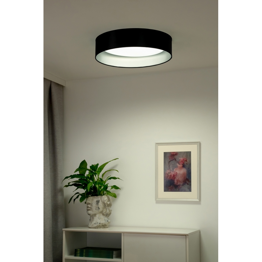 Duolla - LED Stropné svietidlo ROLLER LED/24W/230V pr. 45 cm čierna/strieborná