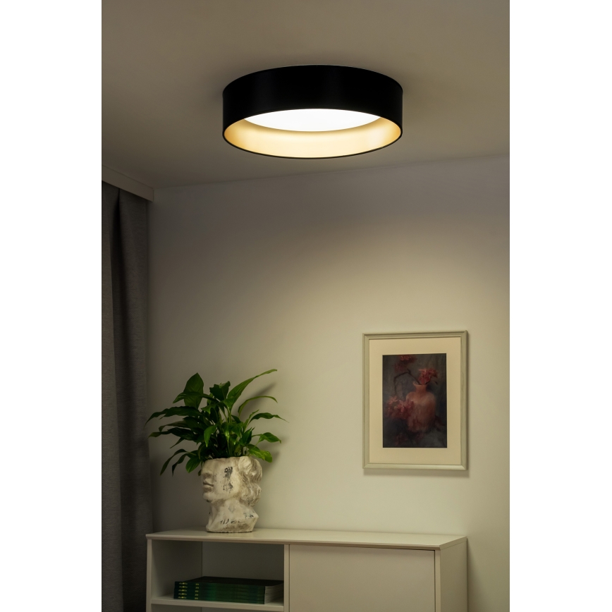 Duolla - LED Stropné svietidlo ROLLER LED/24W/230V pr. 45 cm čierna/zlatá