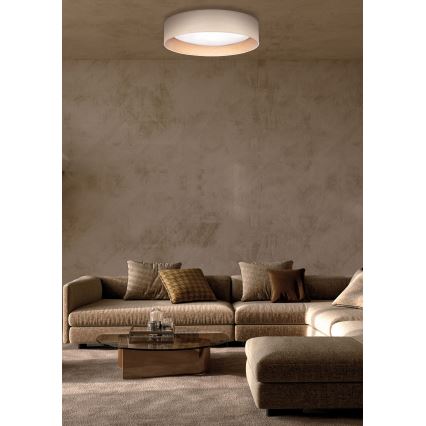 Duolla - LED Stropné svietidlo ROLLER LED/24W/230V pr. 45 cm jaseň