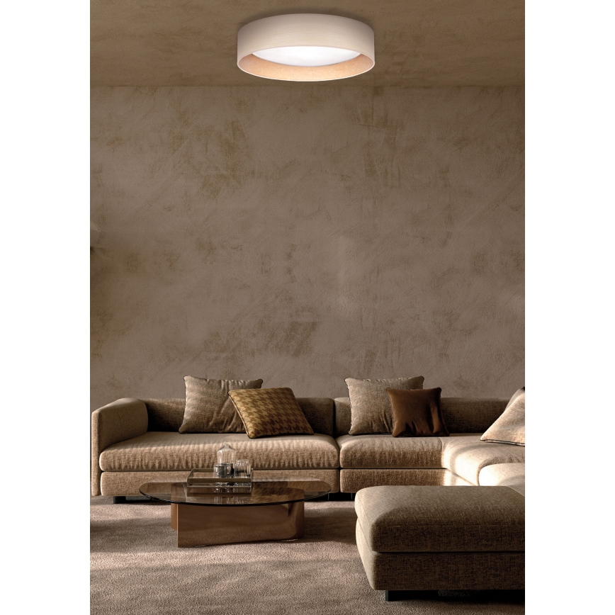 Duolla - LED Stropné svietidlo ROLLER LED/24W/230V pr. 45 cm jaseň