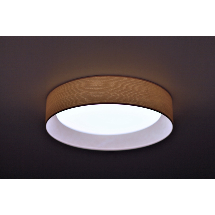 Duolla - LED Stropné svietidlo ROLLER LED/24W/230V pr. 45 cm jaseň