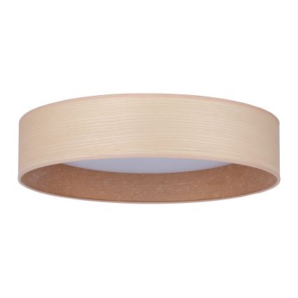 Duolla - LED Stropné svietidlo ROLLER LED/24W/230V pr. 45 cm jaseň