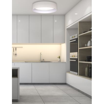 Duolla - LED Stropné svietidlo ROLLER LED/24W/230V pr. 45 cm krémová
