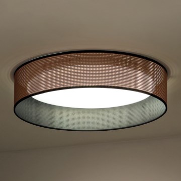 Duolla - LED Stropné svietidlo ROLLER LED/24W/230V pr. 45 cm medená/čierna