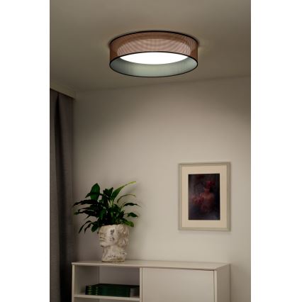 Duolla - LED Stropné svietidlo ROLLER LED/24W/230V pr. 45 cm medená/čierna