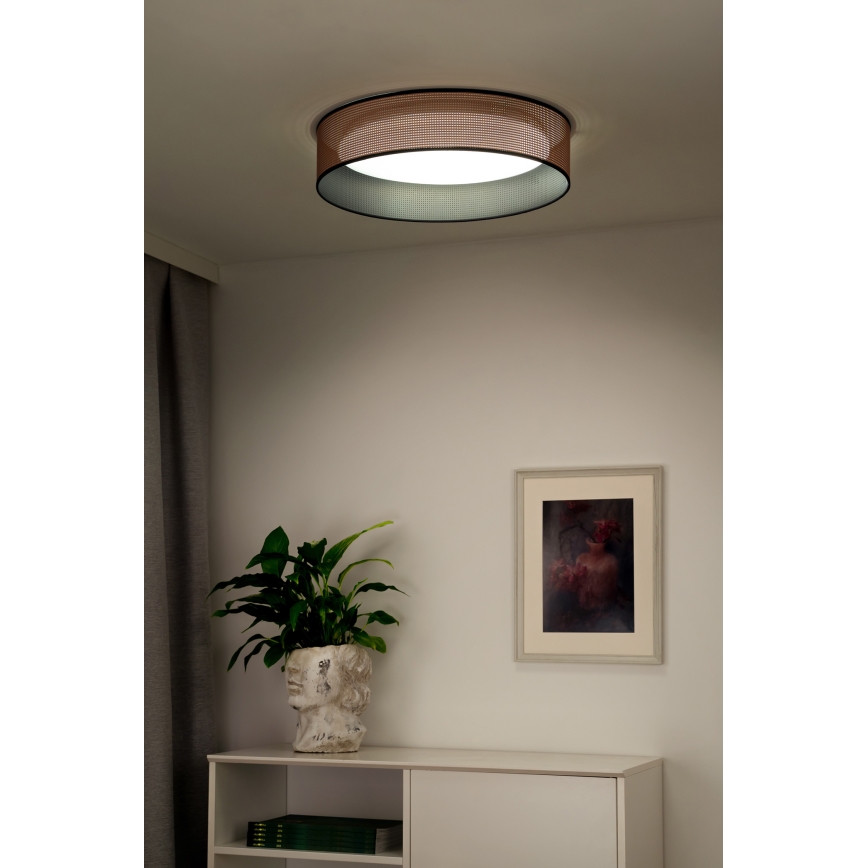 Duolla - LED Stropné svietidlo ROLLER LED/24W/230V pr. 45 cm medená/čierna