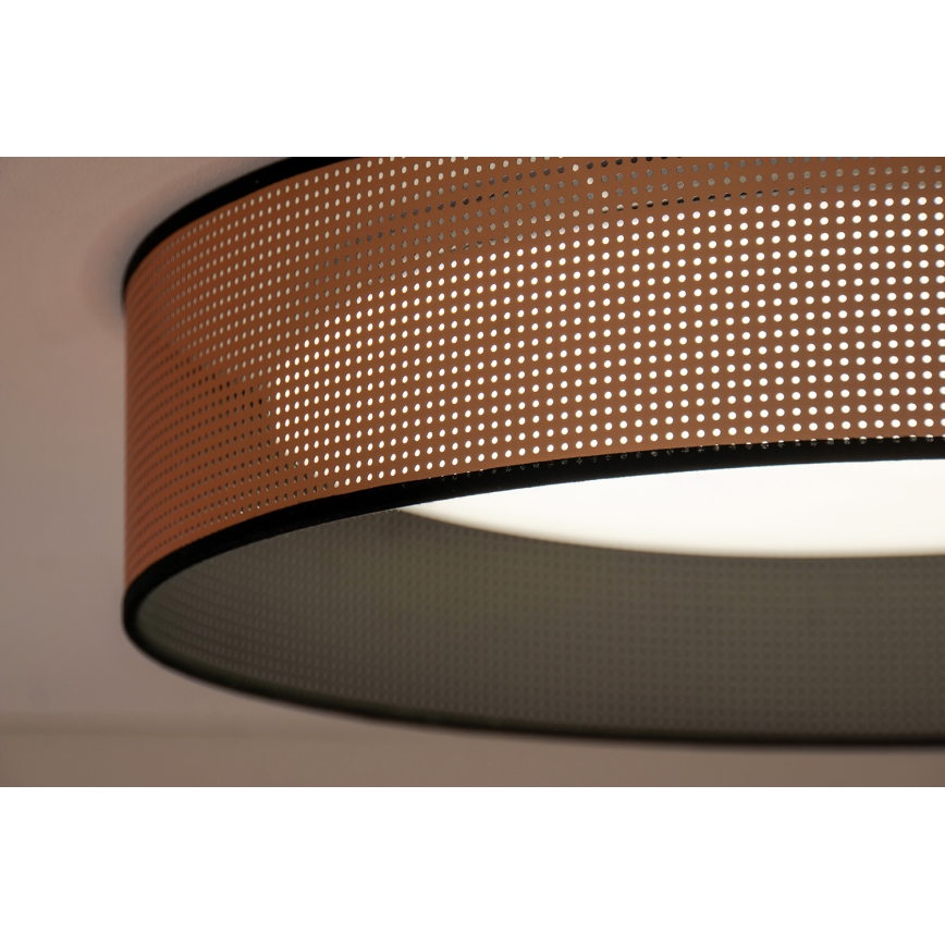 Duolla - LED Stropné svietidlo ROLLER LED/24W/230V pr. 45 cm medená/čierna