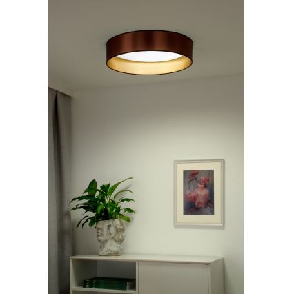 Duolla - LED Stropné svietidlo ROLLER LED/24W/230V pr. 45 cm medená/zlatá