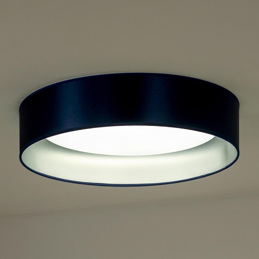 Duolla - LED Stropné svietidlo ROLLER LED/24W/230V pr. 45 cm modrá/strieborná