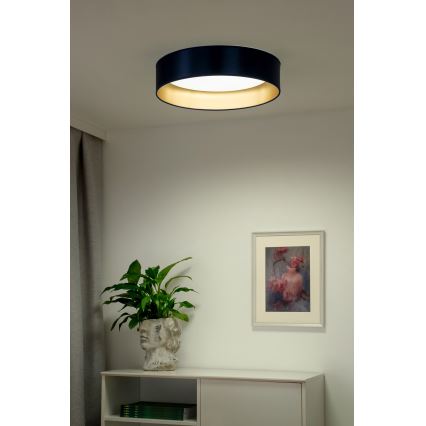 Duolla - LED Stropné svietidlo ROLLER LED/24W/230V pr. 45 cm modrá/zlatá