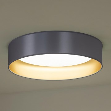 Duolla - LED Stropné svietidlo ROLLER LED/24W/230V pr. 45 cm strieborná/zlatá