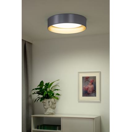 Duolla - LED Stropné svietidlo ROLLER LED/24W/230V pr. 45 cm strieborná/zlatá