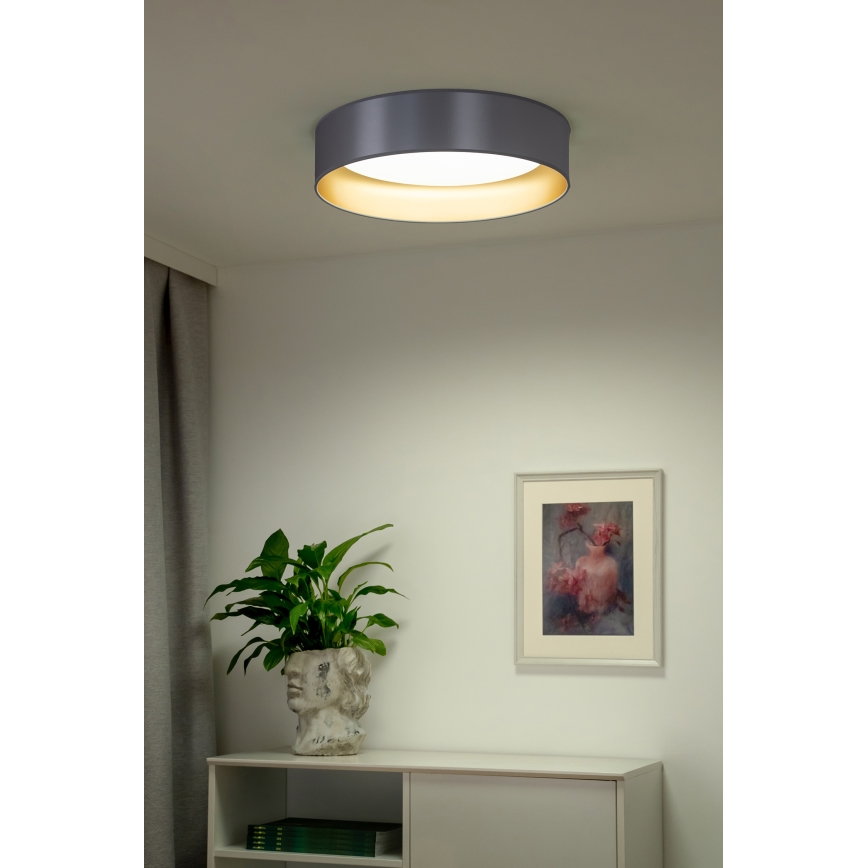 Duolla - LED Stropné svietidlo ROLLER LED/24W/230V pr. 45 cm strieborná/zlatá