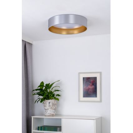 Duolla - LED Stropné svietidlo ROLLER LED/24W/230V pr. 45 cm strieborná/zlatá