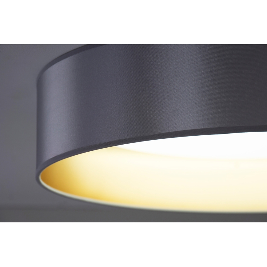 Duolla - LED Stropné svietidlo ROLLER LED/24W/230V pr. 45 cm strieborná/zlatá