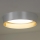 Duolla - LED Stropné svietidlo ROLLER LED/24W/230V pr. 45 cm strieborná/zlatá