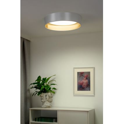 Duolla - LED Stropné svietidlo ROLLER LED/24W/230V pr. 45 cm strieborná/zlatá
