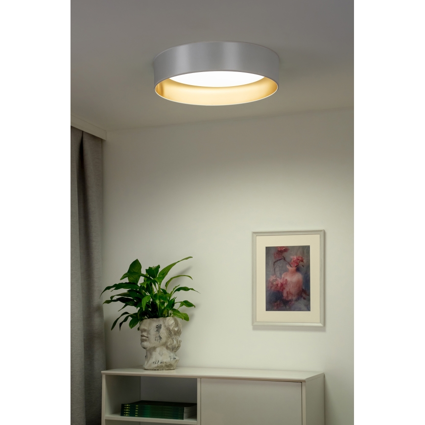 Duolla - LED Stropné svietidlo ROLLER LED/24W/230V pr. 45 cm strieborná/zlatá